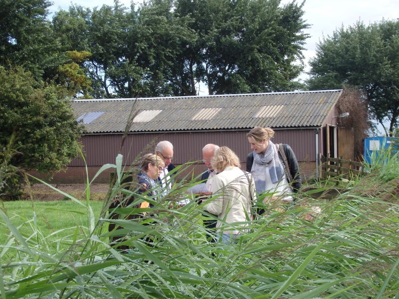 photo - Gereformeerde Kerk Lioessens